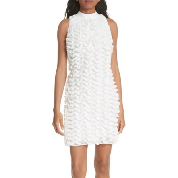 Ted Baker Dresses & Skirts - Ted Baker Serilda Ruffle Dress Small